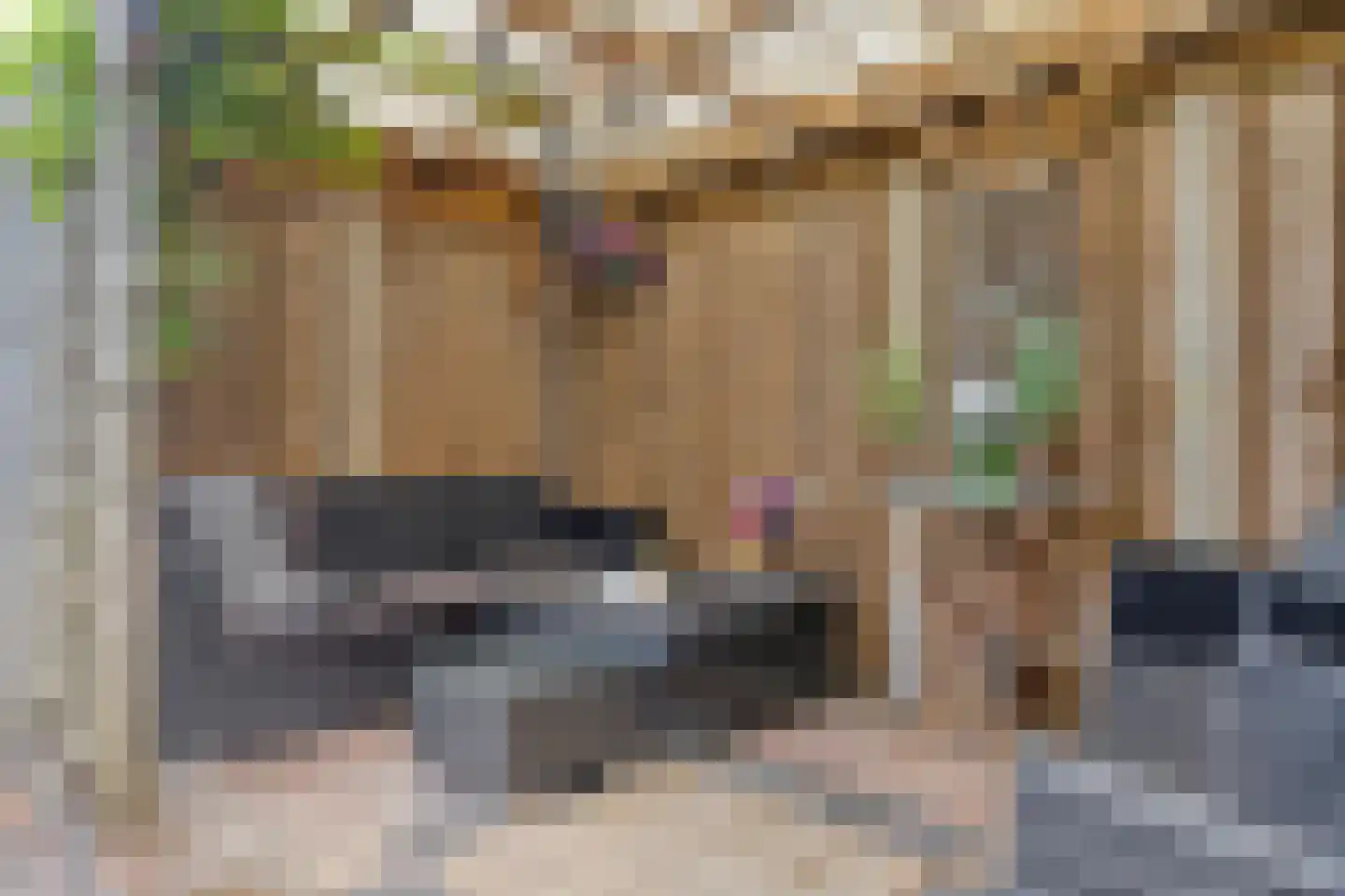 Albardastraat 21 Goes thumbnail 29