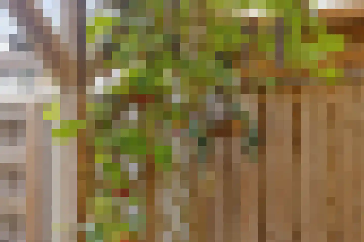 Albardastraat 21 Goes thumbnail 30
