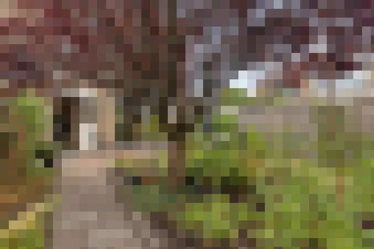 Albardastraat 21 Goes thumbnail 31