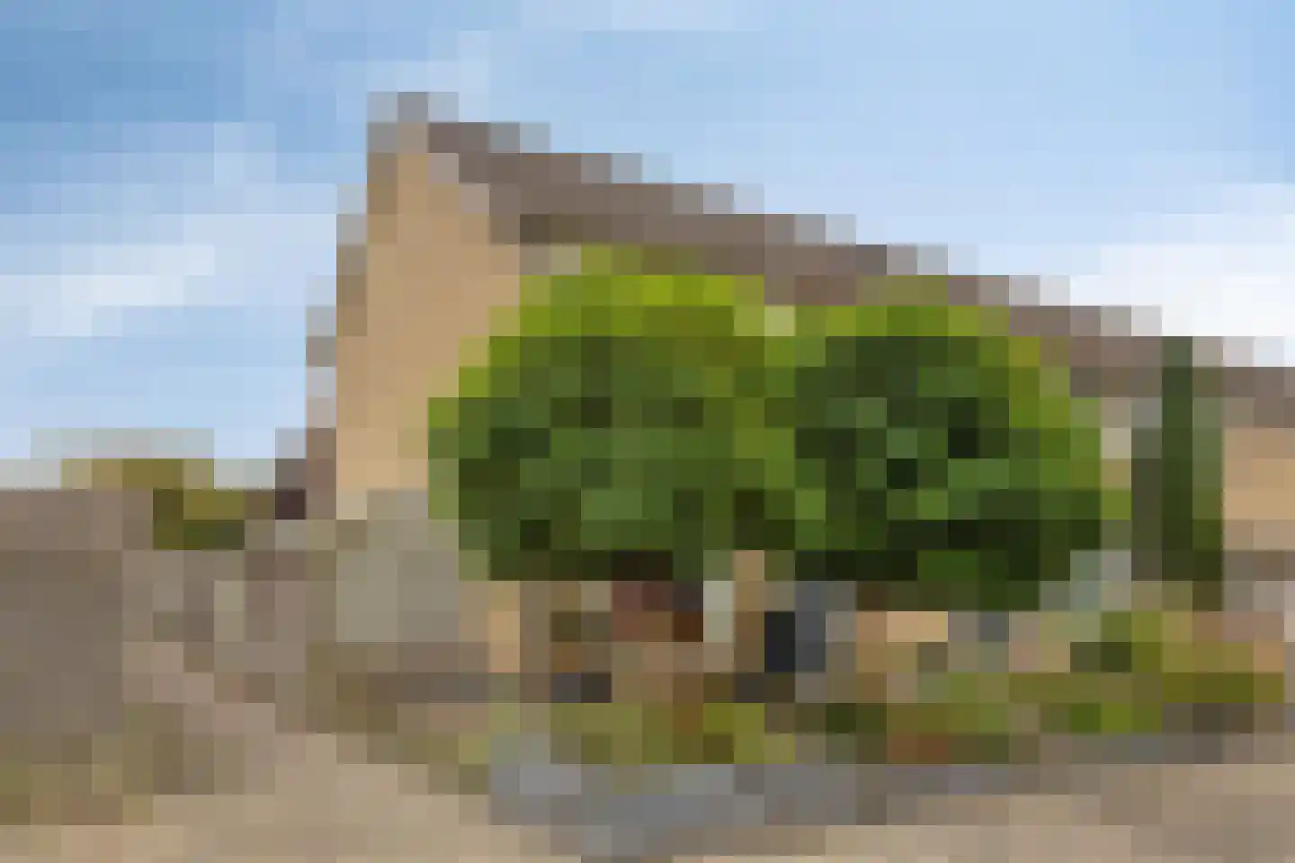 Albardastraat 21 Goes thumbnail 32