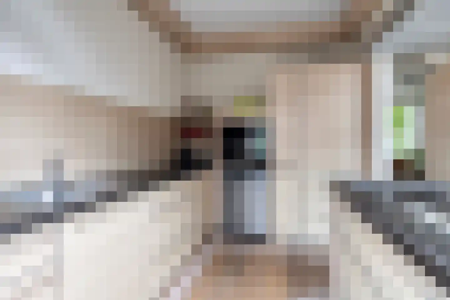 Albardastraat 21 Goes thumbnail 4