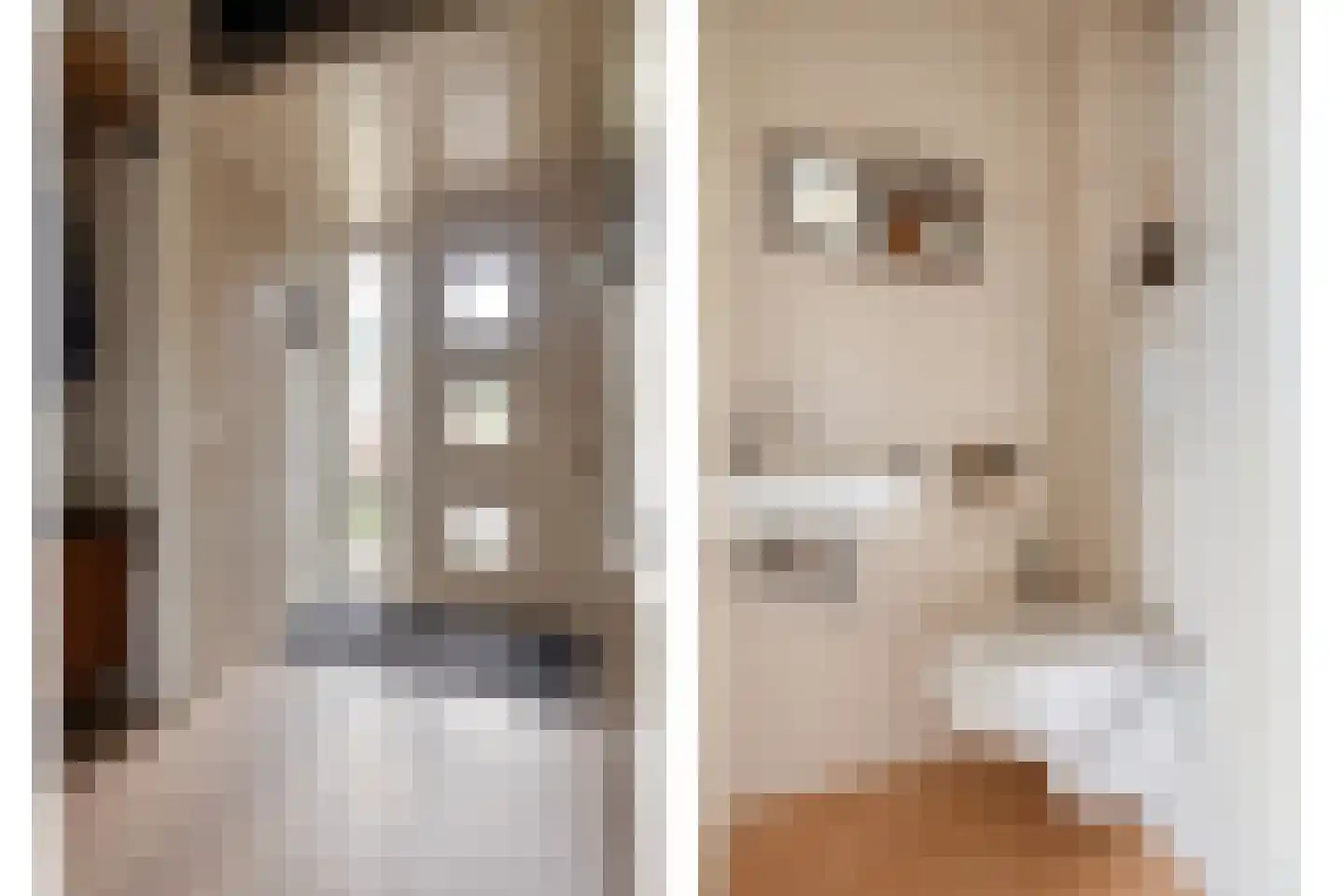 Albardastraat 21 Goes thumbnail 5