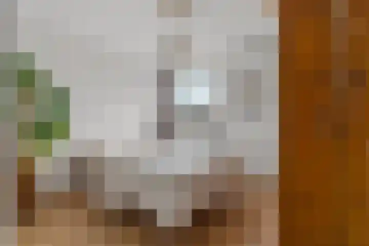 Albardastraat 21 Nijmegen thumbnail 17