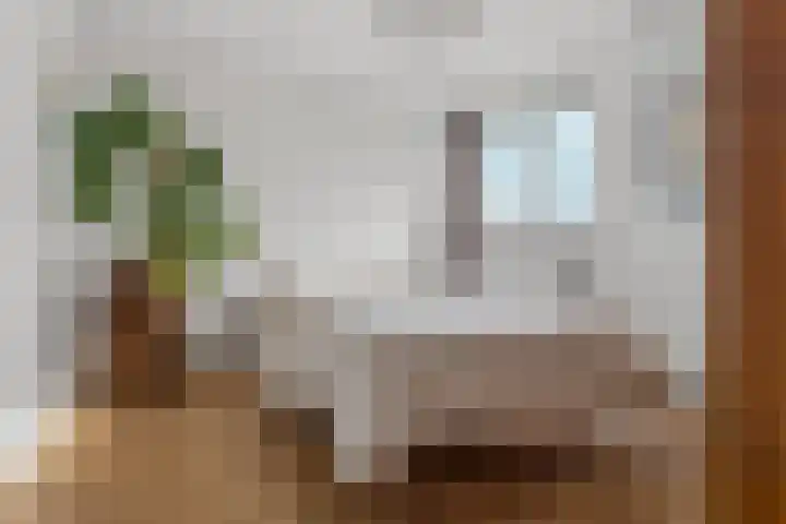 Albardastraat 21 Nijmegen thumbnail 18