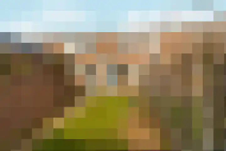 Albardastraat 21 Nijmegen thumbnail 5