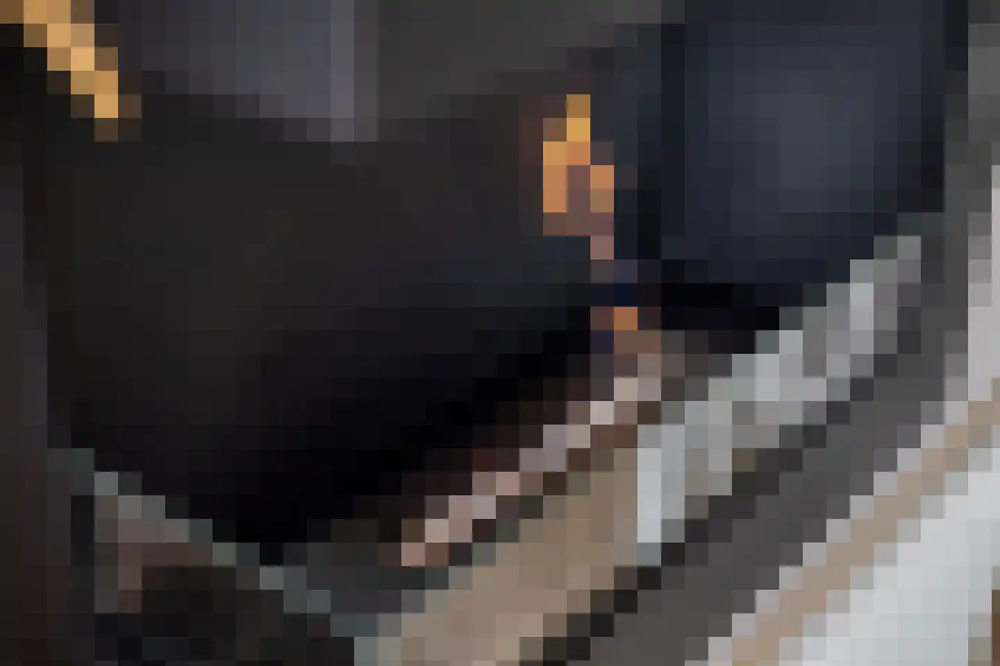 Albardastraat 25 Goes thumbnail 15