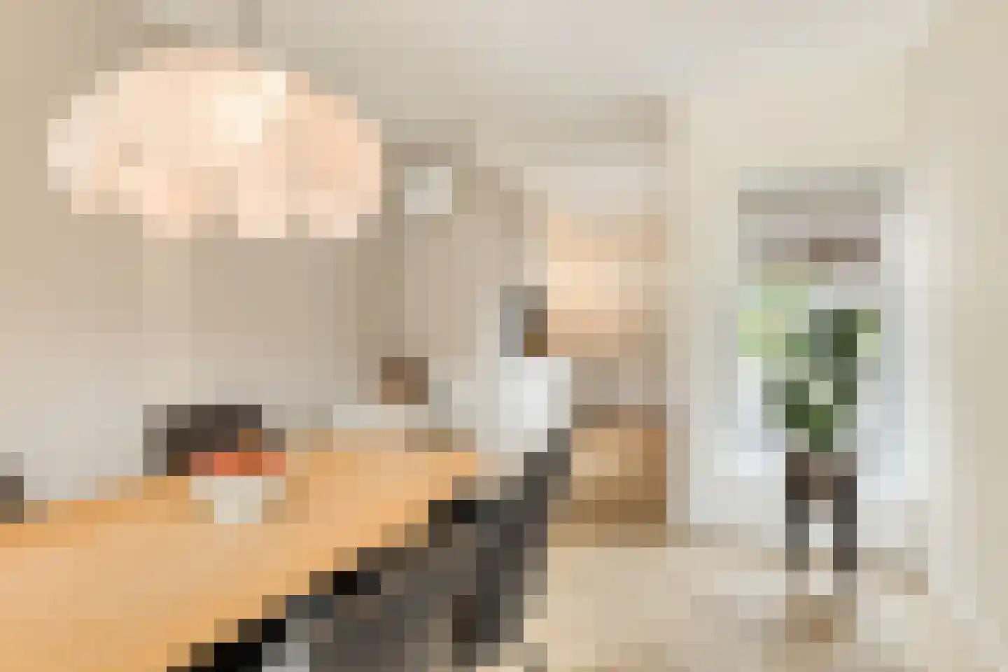Albardastraat 25 Goes thumbnail 23
