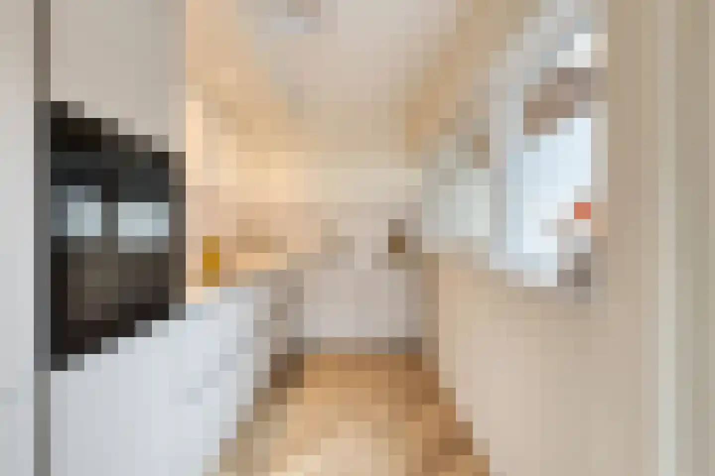 Albardastraat 25 Goes thumbnail 25