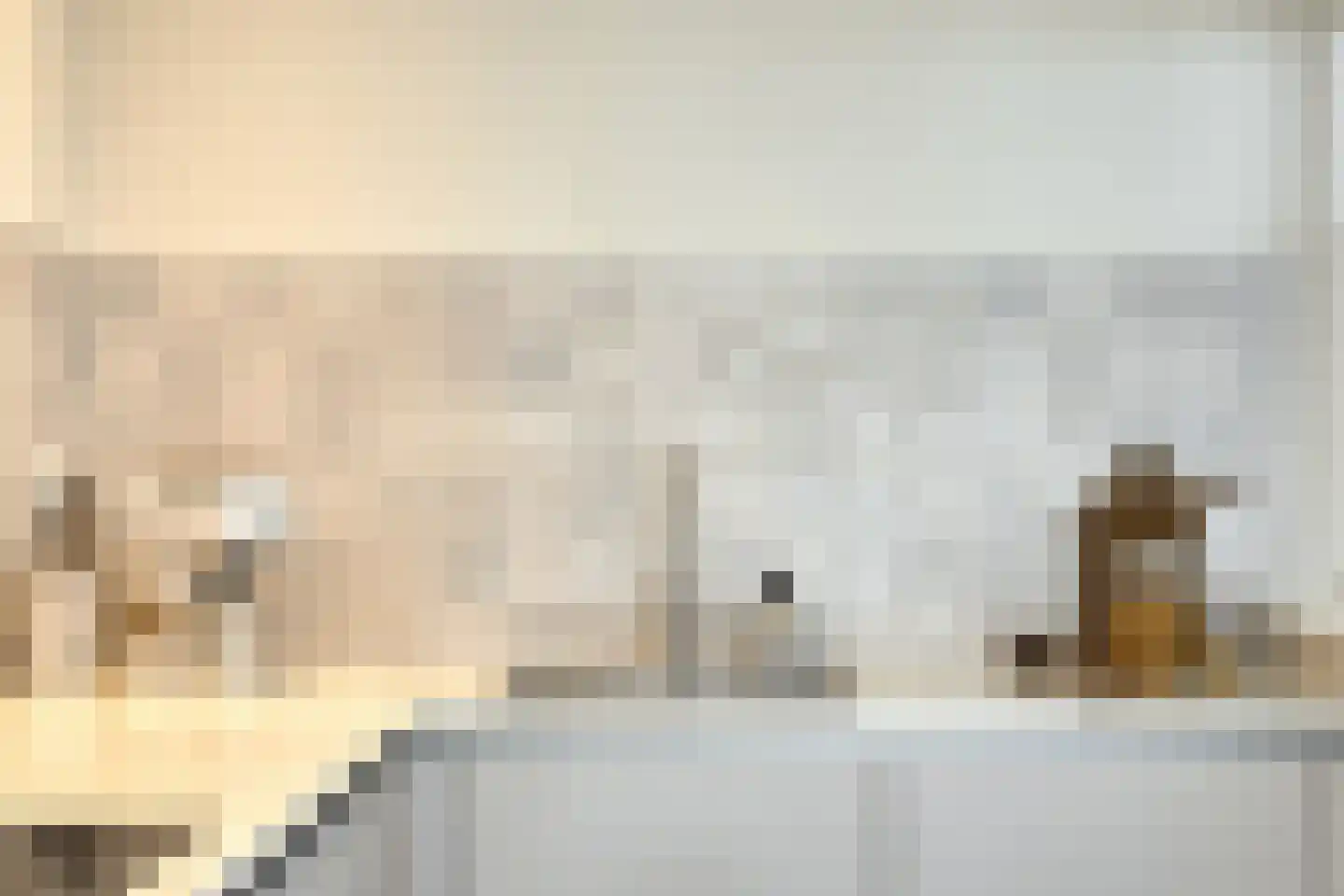 Albardastraat 25 Goes thumbnail 26