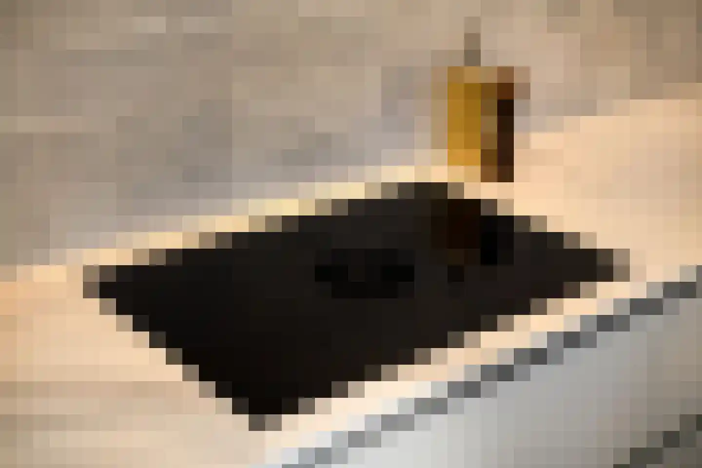 Albardastraat 25 Goes thumbnail 29