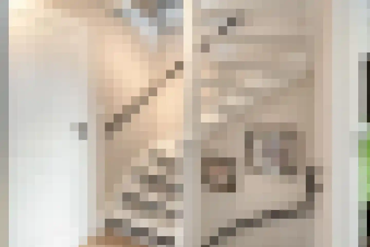 Albardastraat 25 Goes thumbnail 30