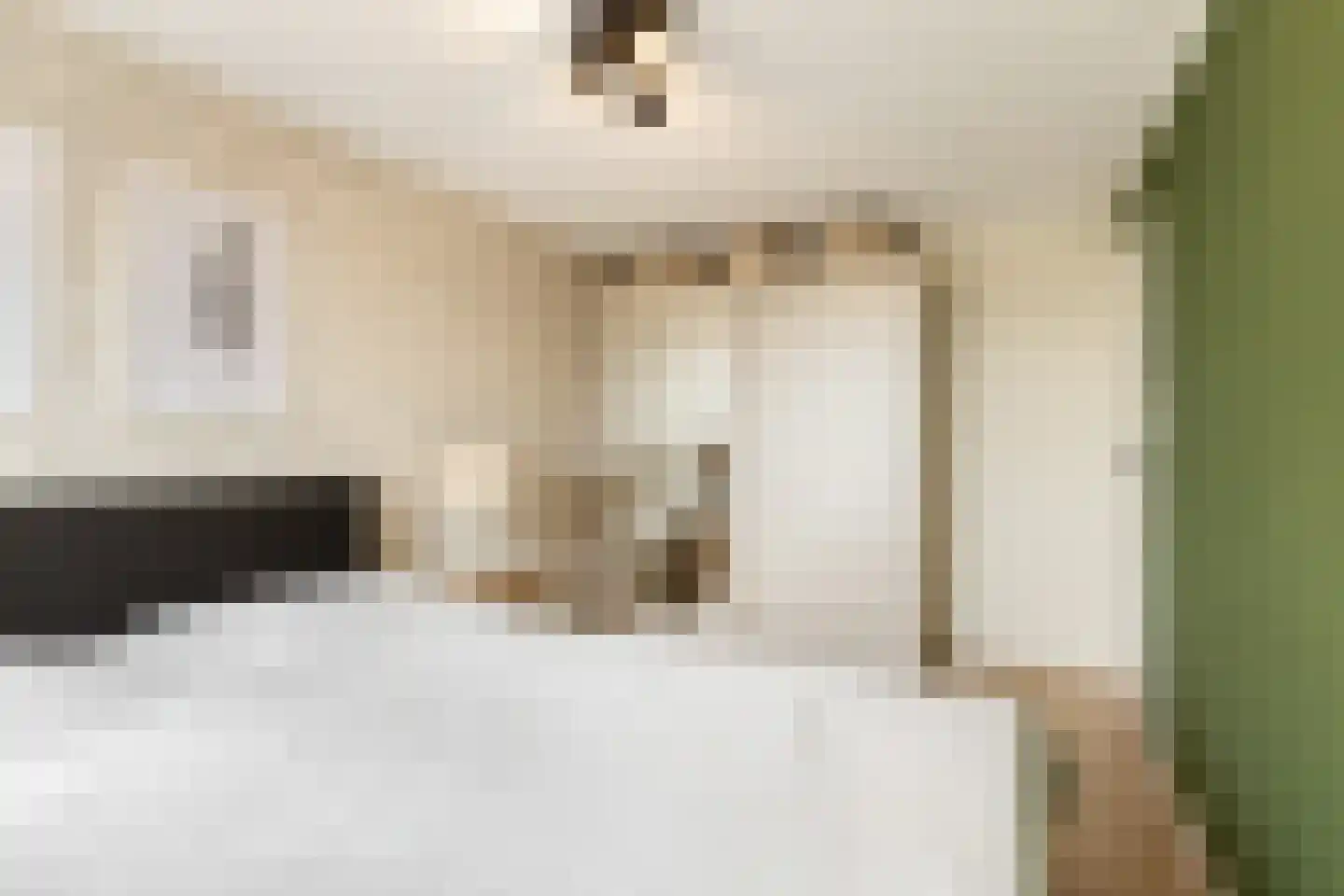 Albardastraat 25 Goes thumbnail 32