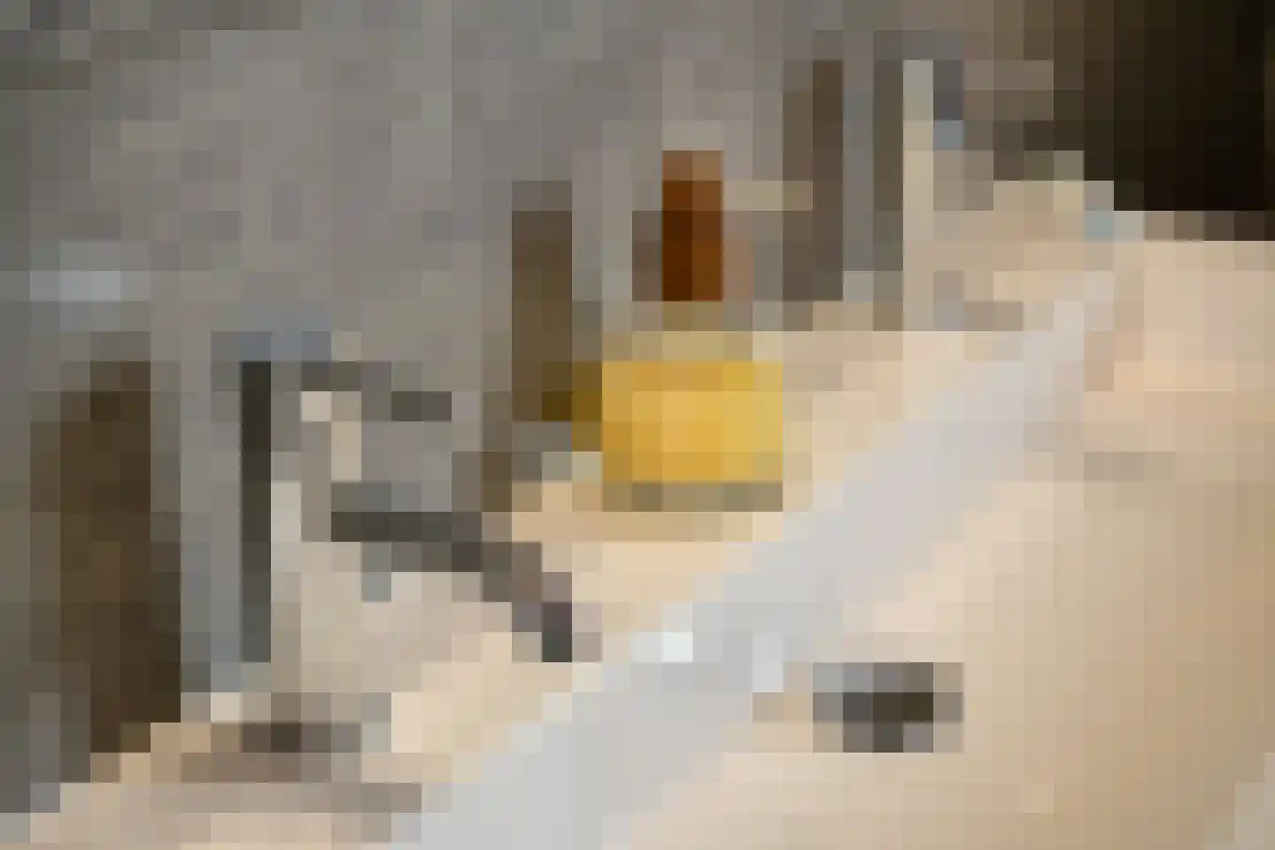 Albardastraat 25 Goes thumbnail 41