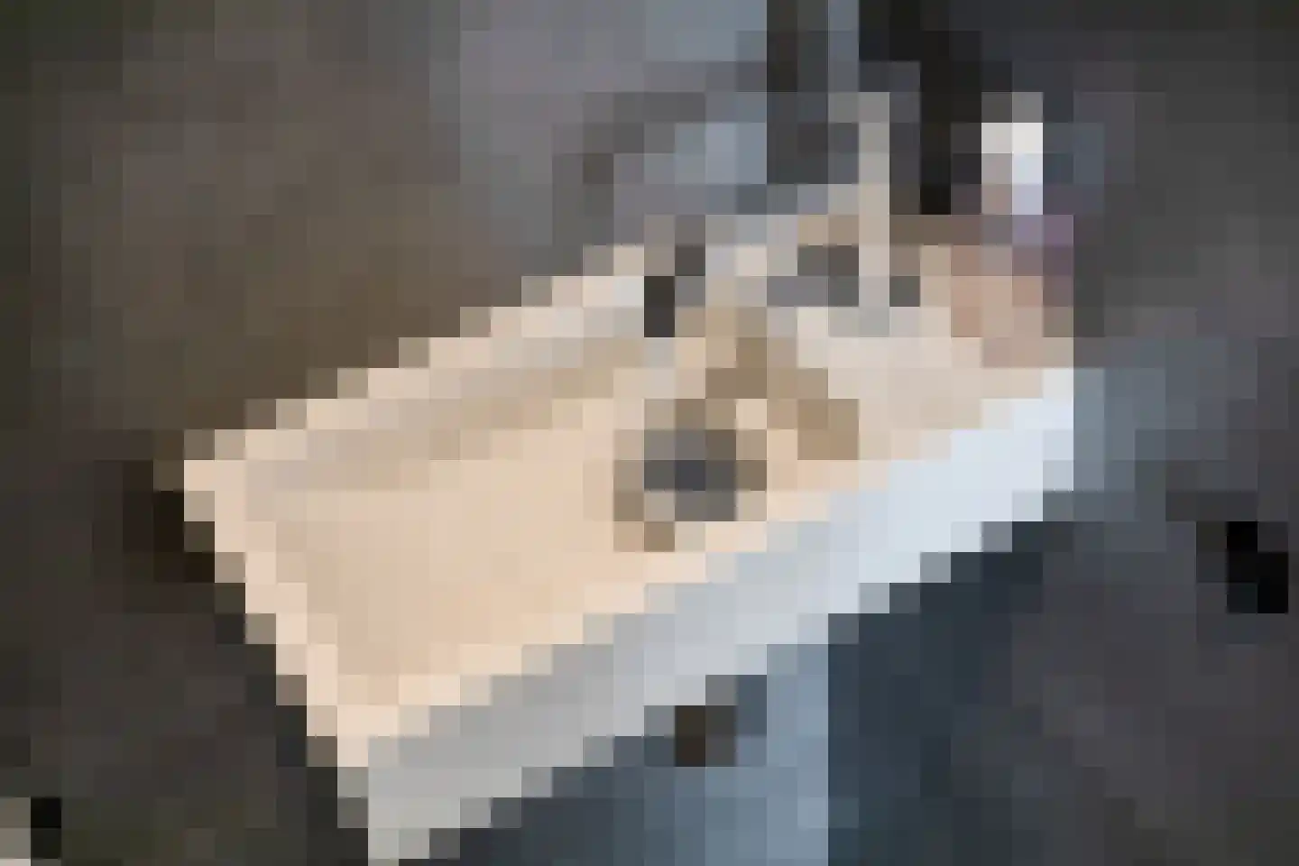 Albardastraat 25 Goes thumbnail 7