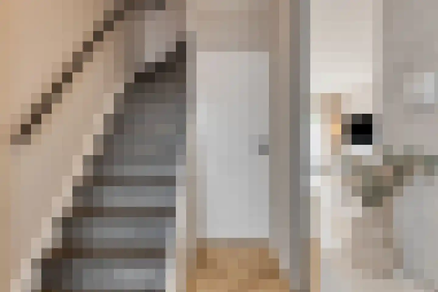 Albardastraat 25 Goes thumbnail 8