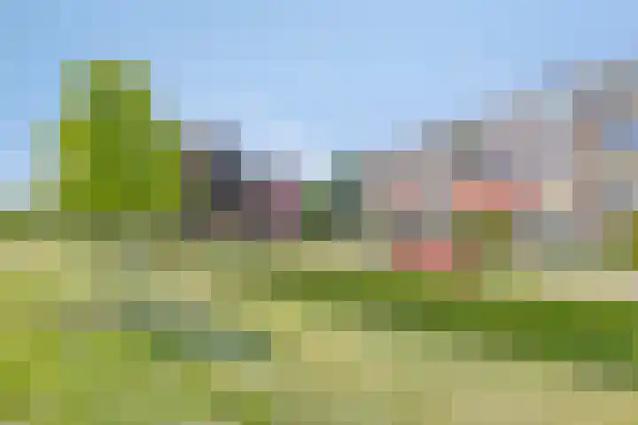 Albardastraat 28 Apeldoorn thumbnail 27