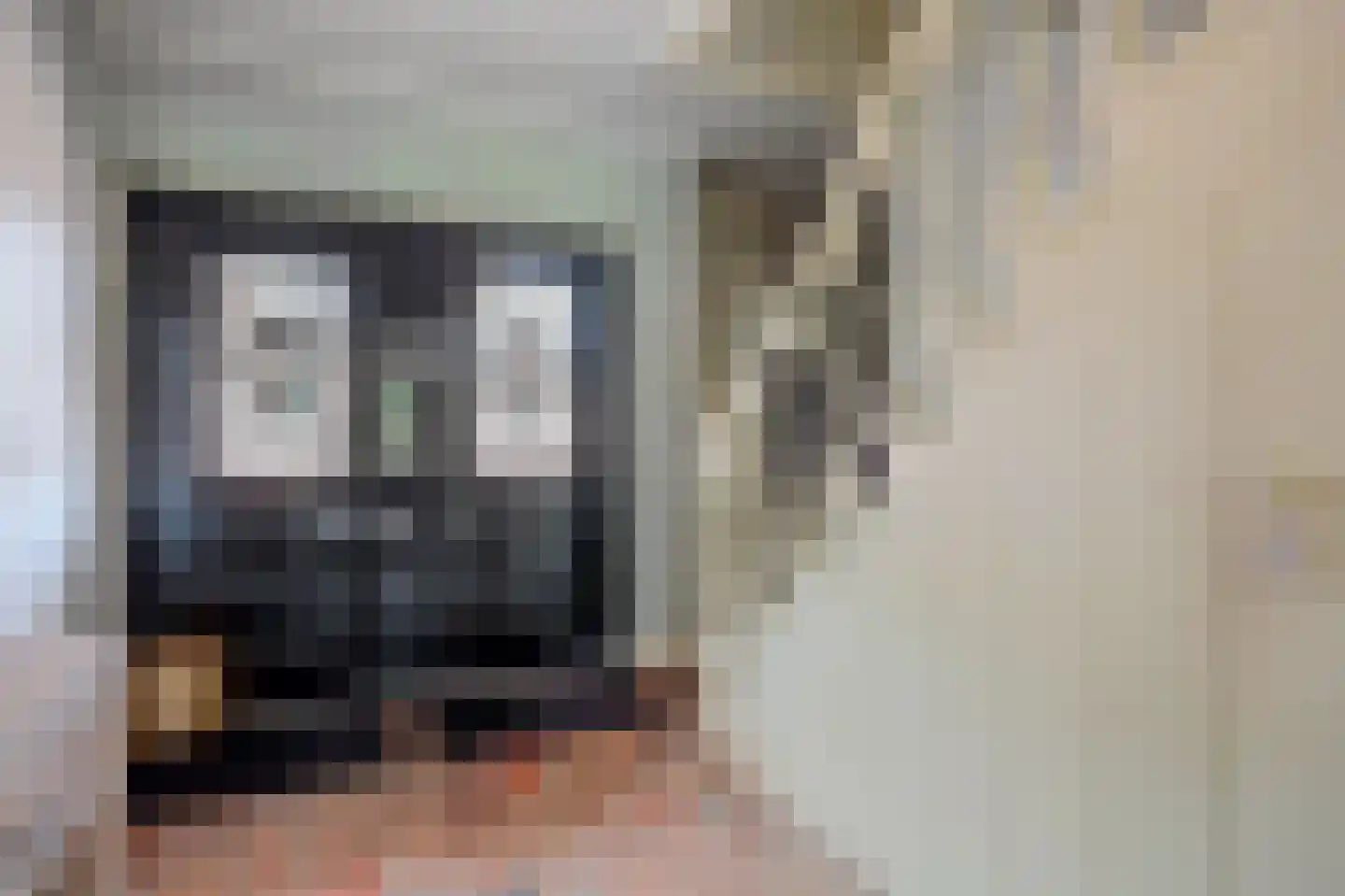 Albardastraat 3 Aadorp thumbnail 11
