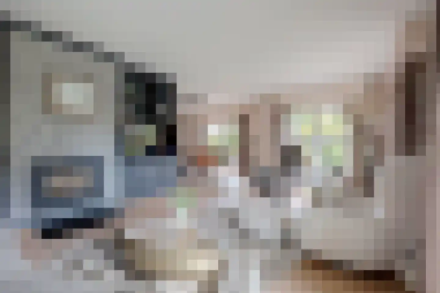 Albardastraat 3 Aadorp thumbnail 15