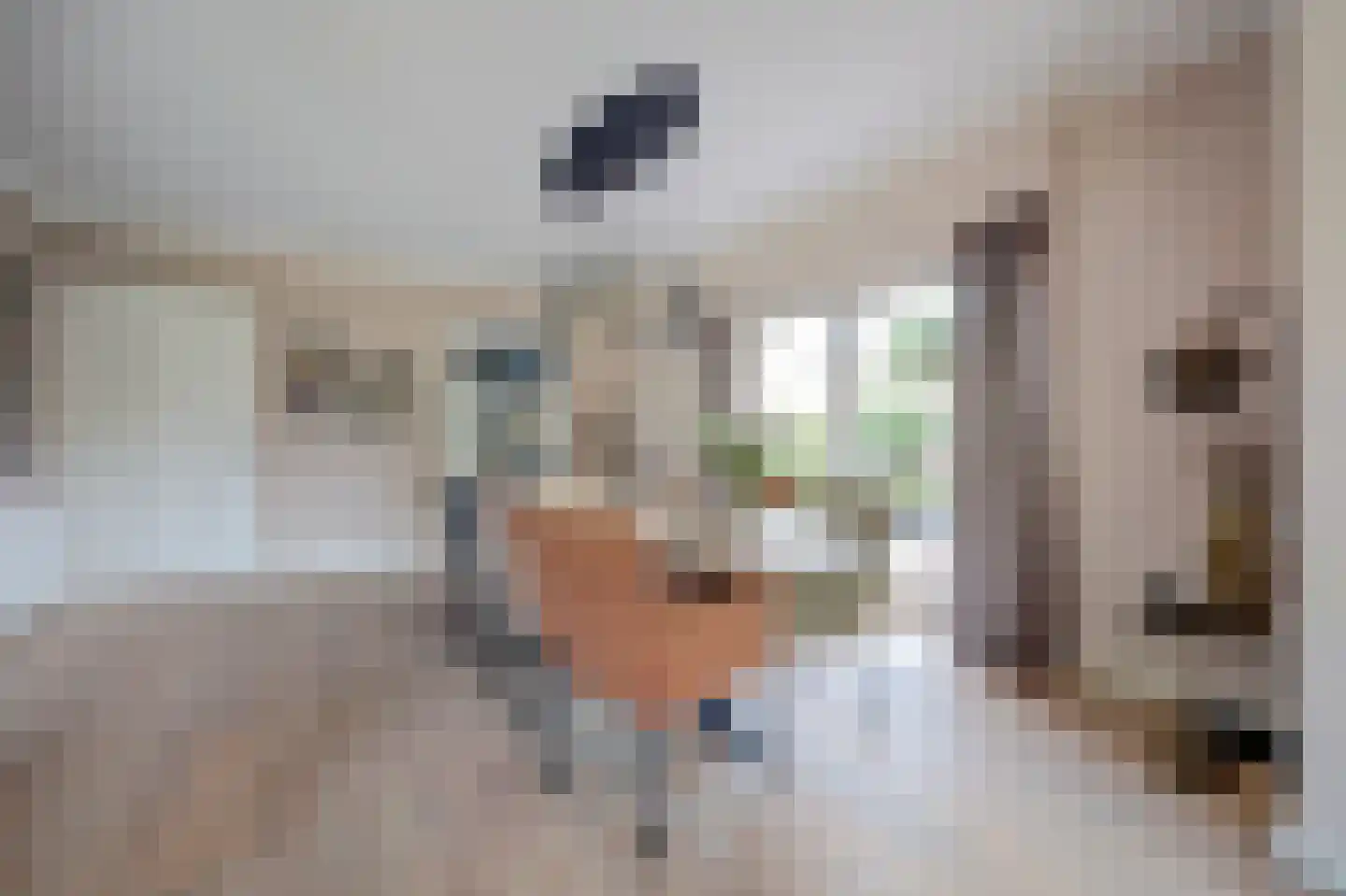 Albardastraat 3 Aadorp thumbnail 18