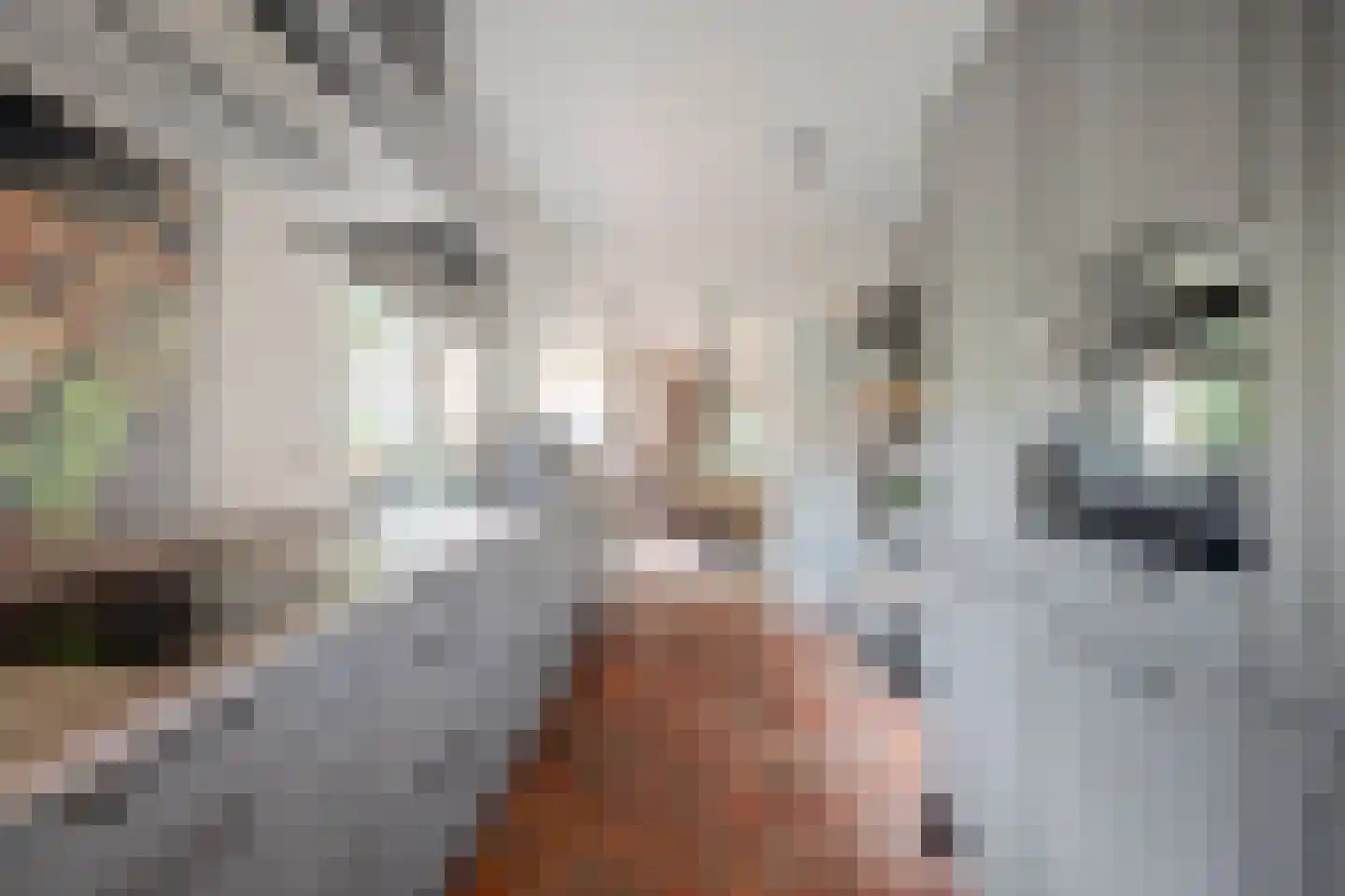 Albardastraat 3 Aadorp thumbnail 24
