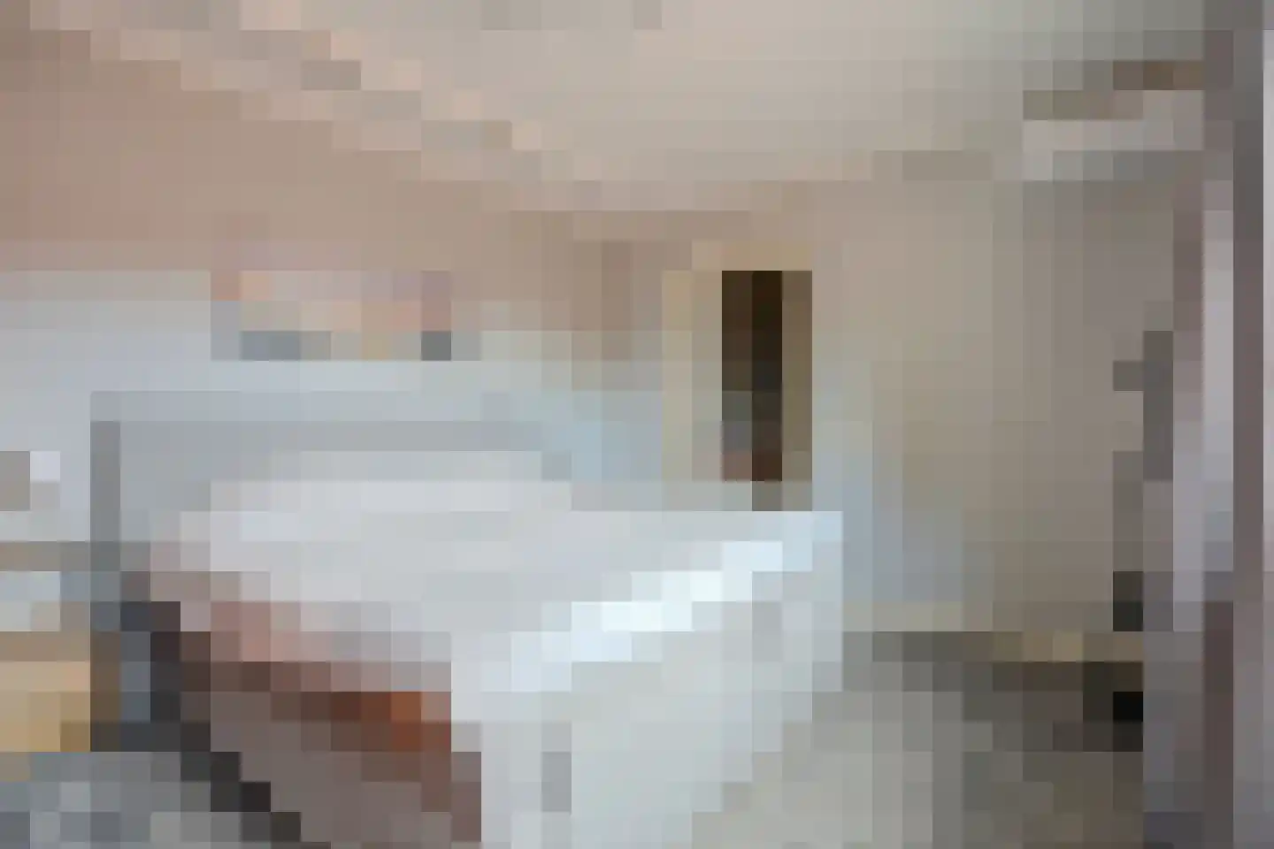 Albardastraat 3 Aadorp thumbnail 29
