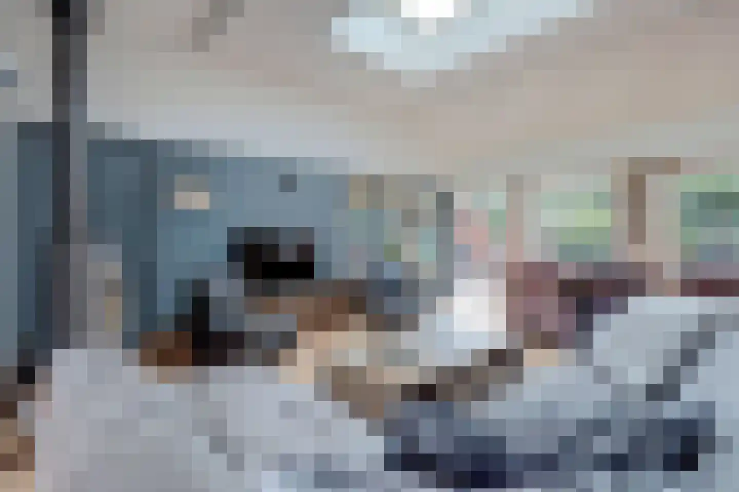 Albardastraat 3 Aadorp thumbnail 39