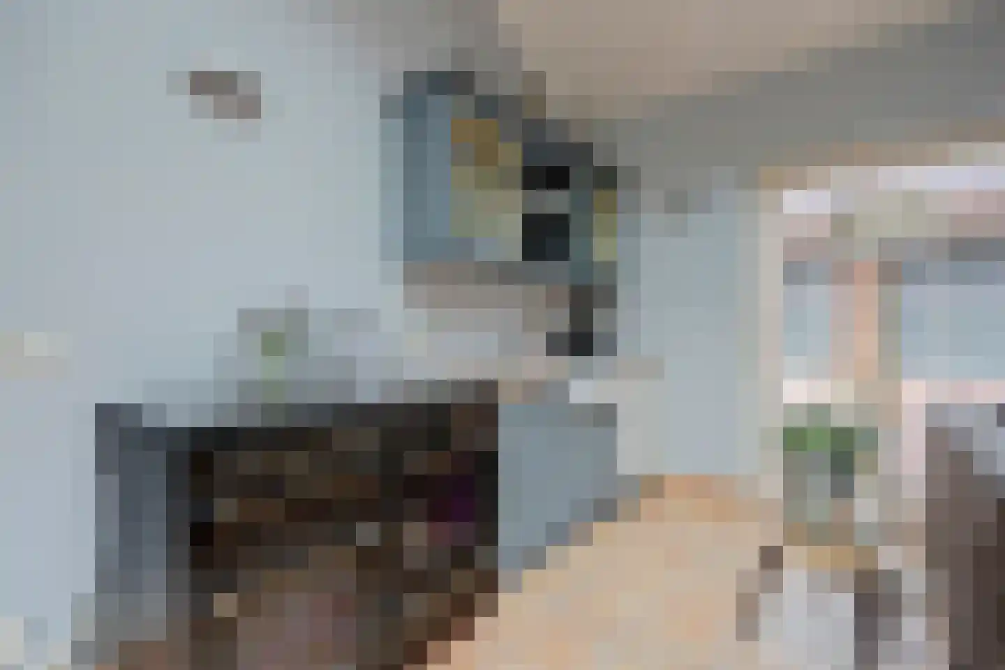 Albardastraat 3 Aadorp thumbnail 41