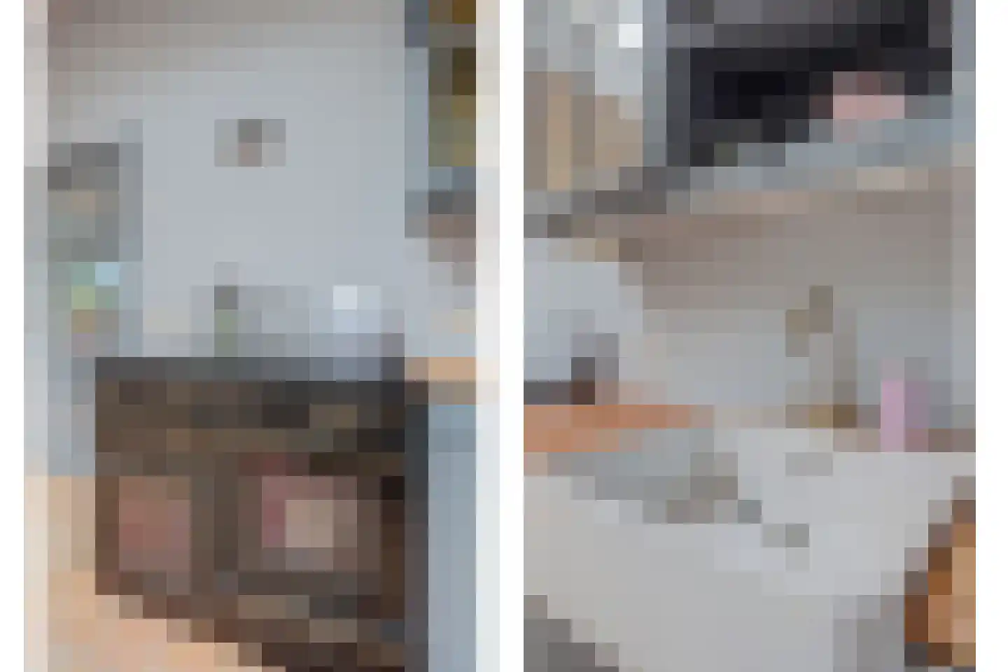 Albardastraat 3 Aadorp thumbnail 42