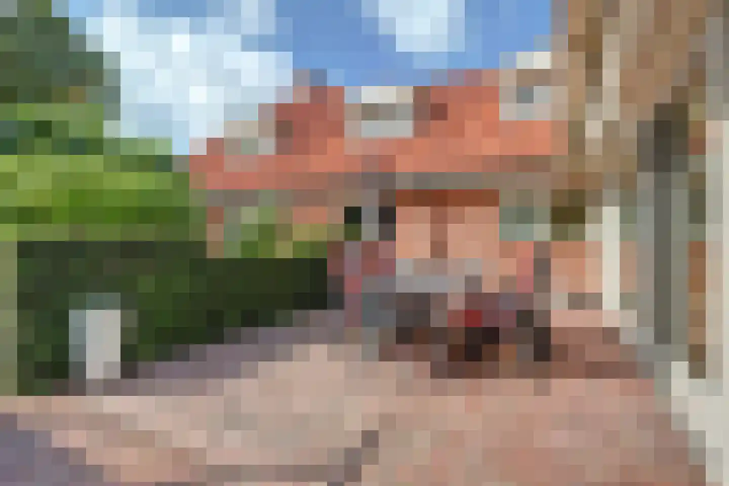 Albardastraat 3 Aadorp thumbnail 44