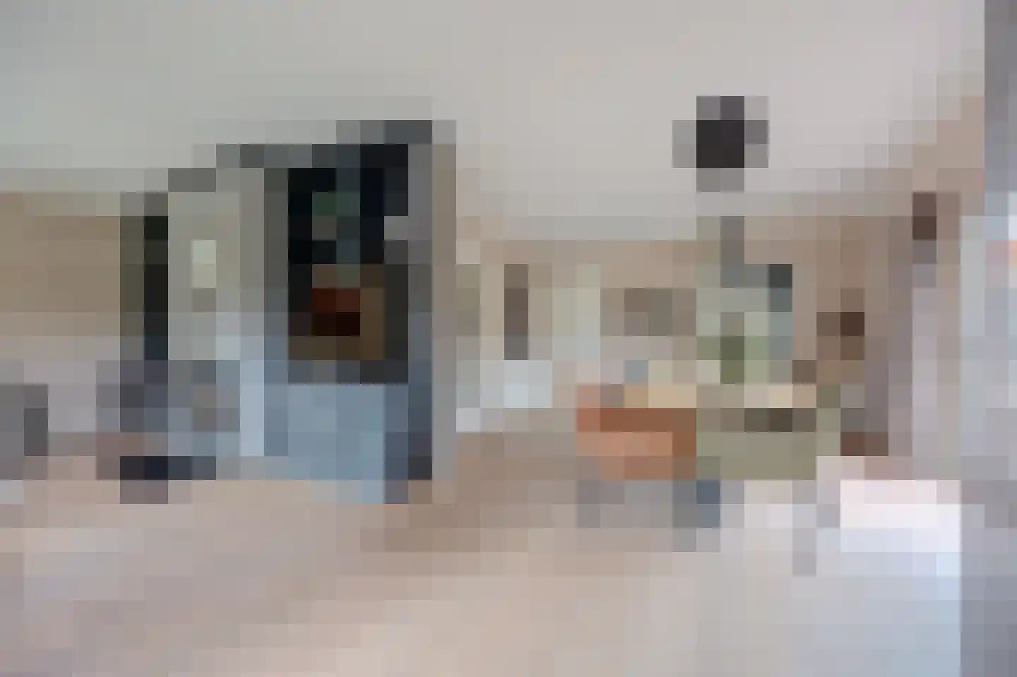 Albardastraat 3 Aadorp thumbnail 5