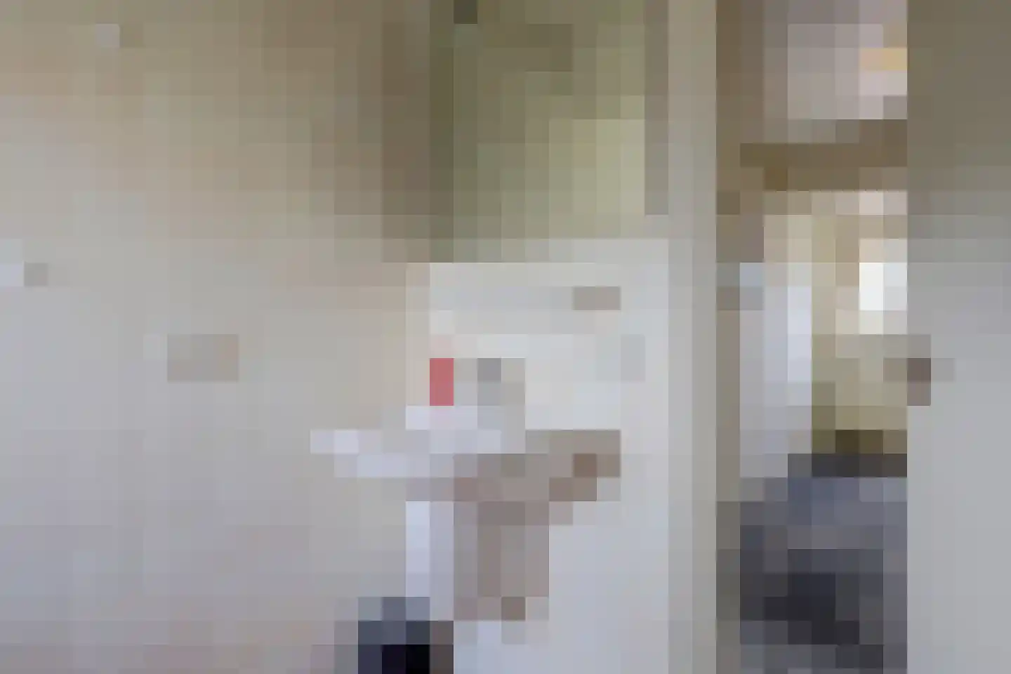 Albardastraat 3 Aadorp thumbnail 51