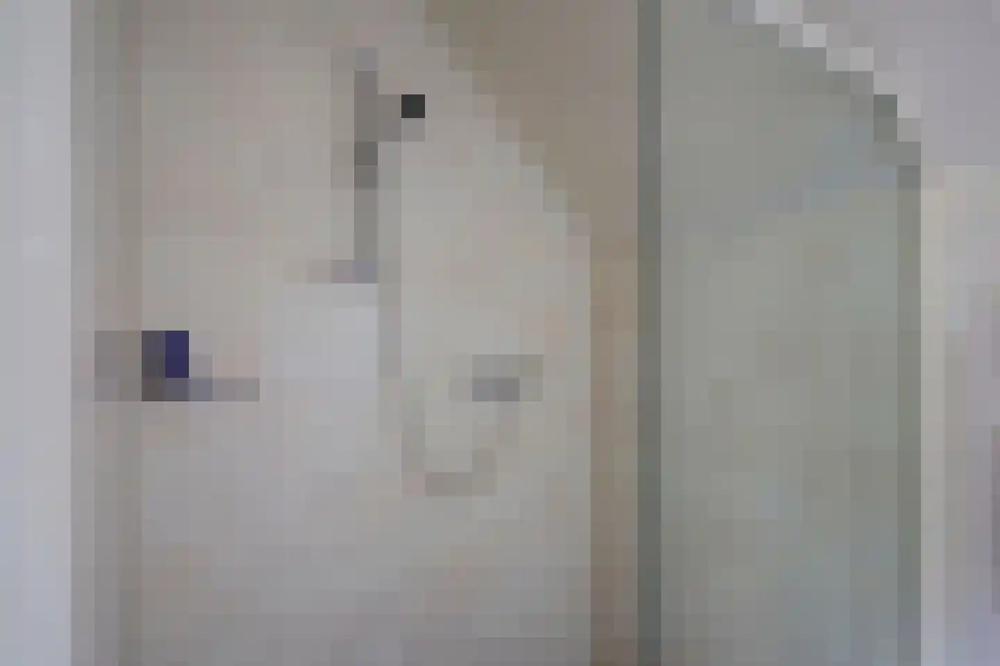 Albardastraat 3 Aadorp thumbnail 52