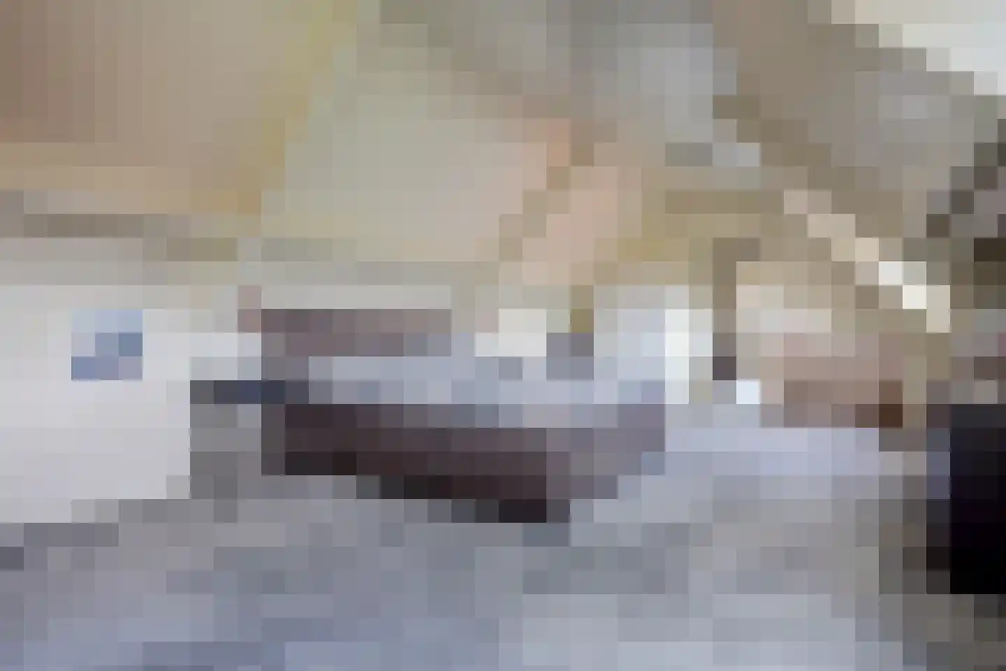 Albardastraat 3 Aadorp thumbnail 53