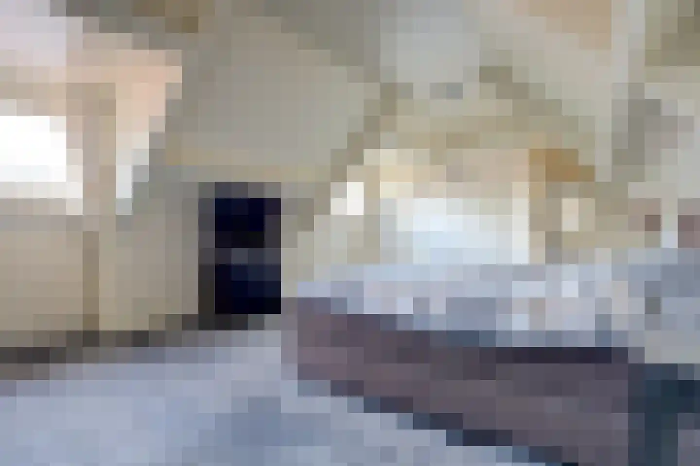 Albardastraat 3 Aadorp thumbnail 54