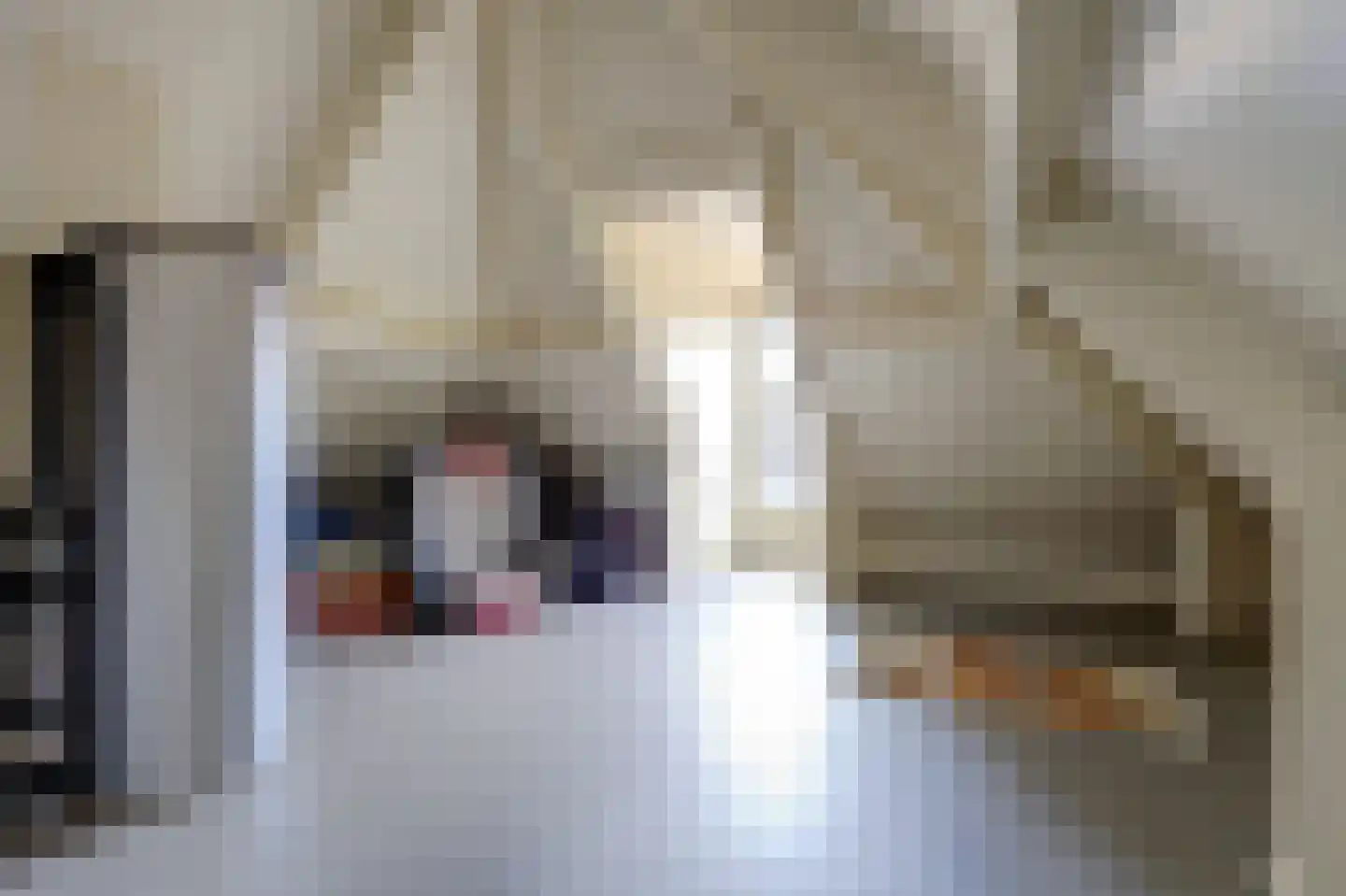 Albardastraat 3 Aadorp thumbnail 55