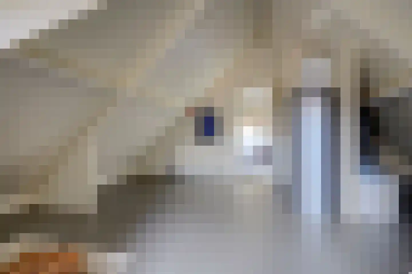 Albardastraat 3 Aadorp thumbnail 56