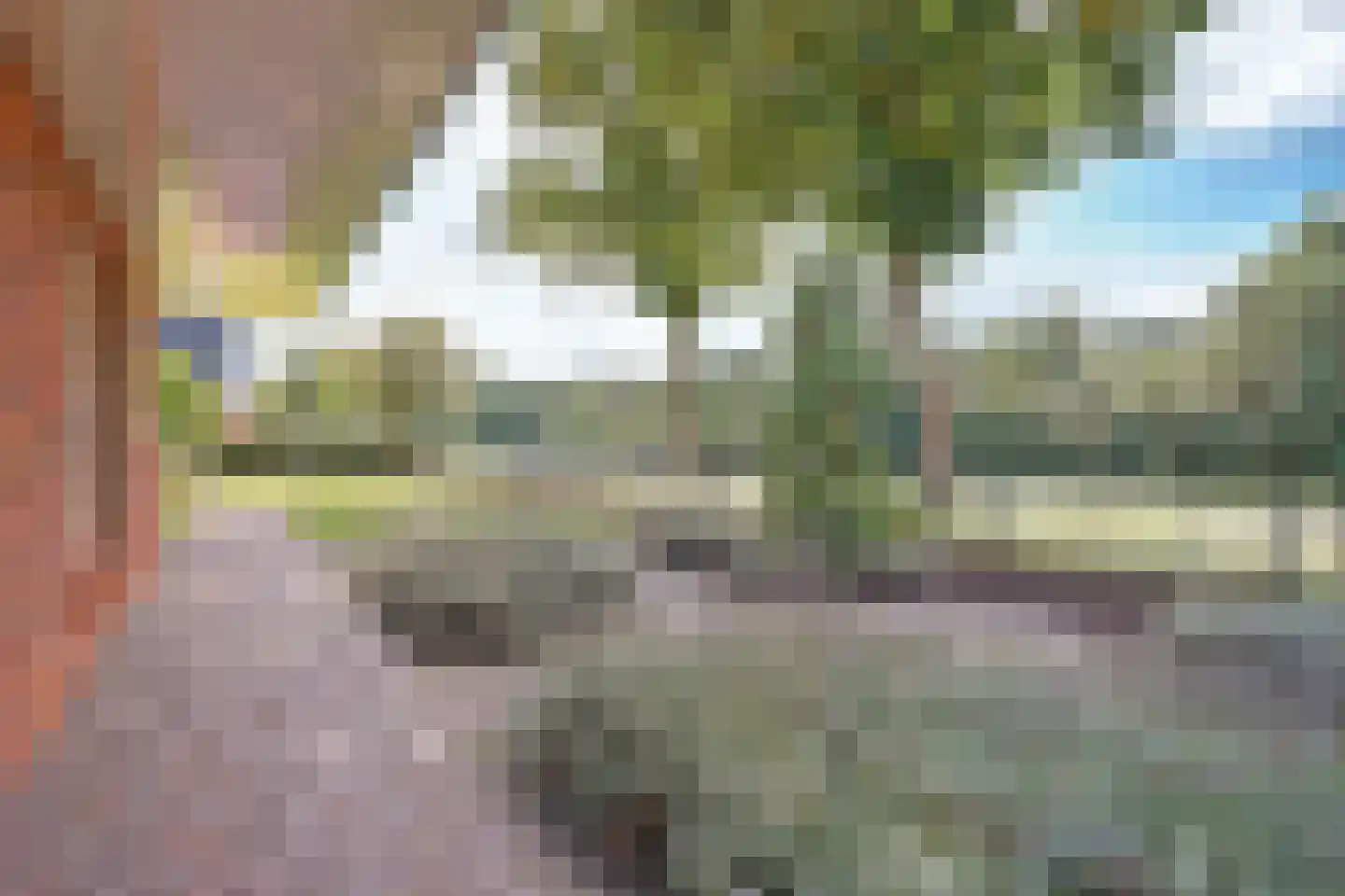 Albardastraat 3 Aadorp thumbnail 58