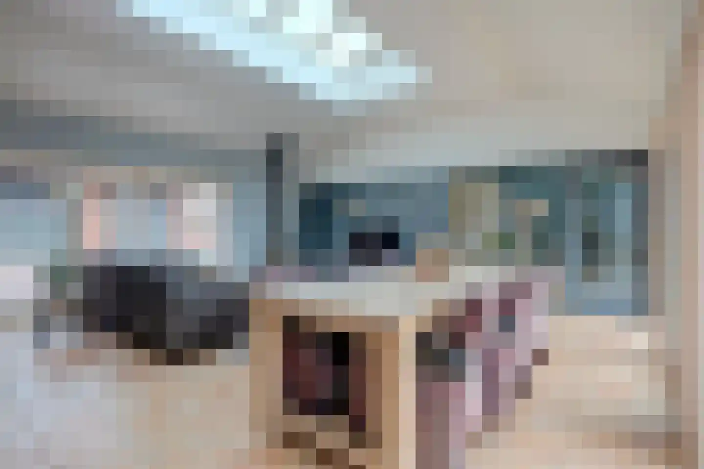 Albardastraat 3 Aadorp thumbnail 6