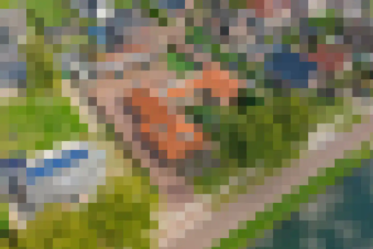Albardastraat 3 Aadorp thumbnail 70