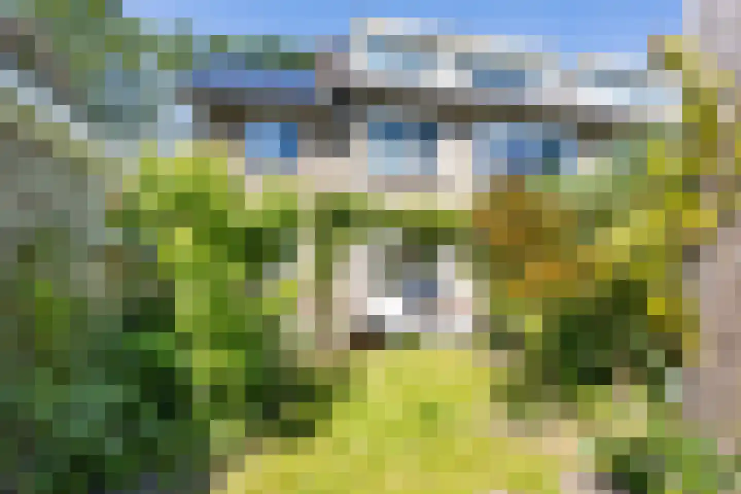 Albardastraat 4 Maarssen thumbnail 18