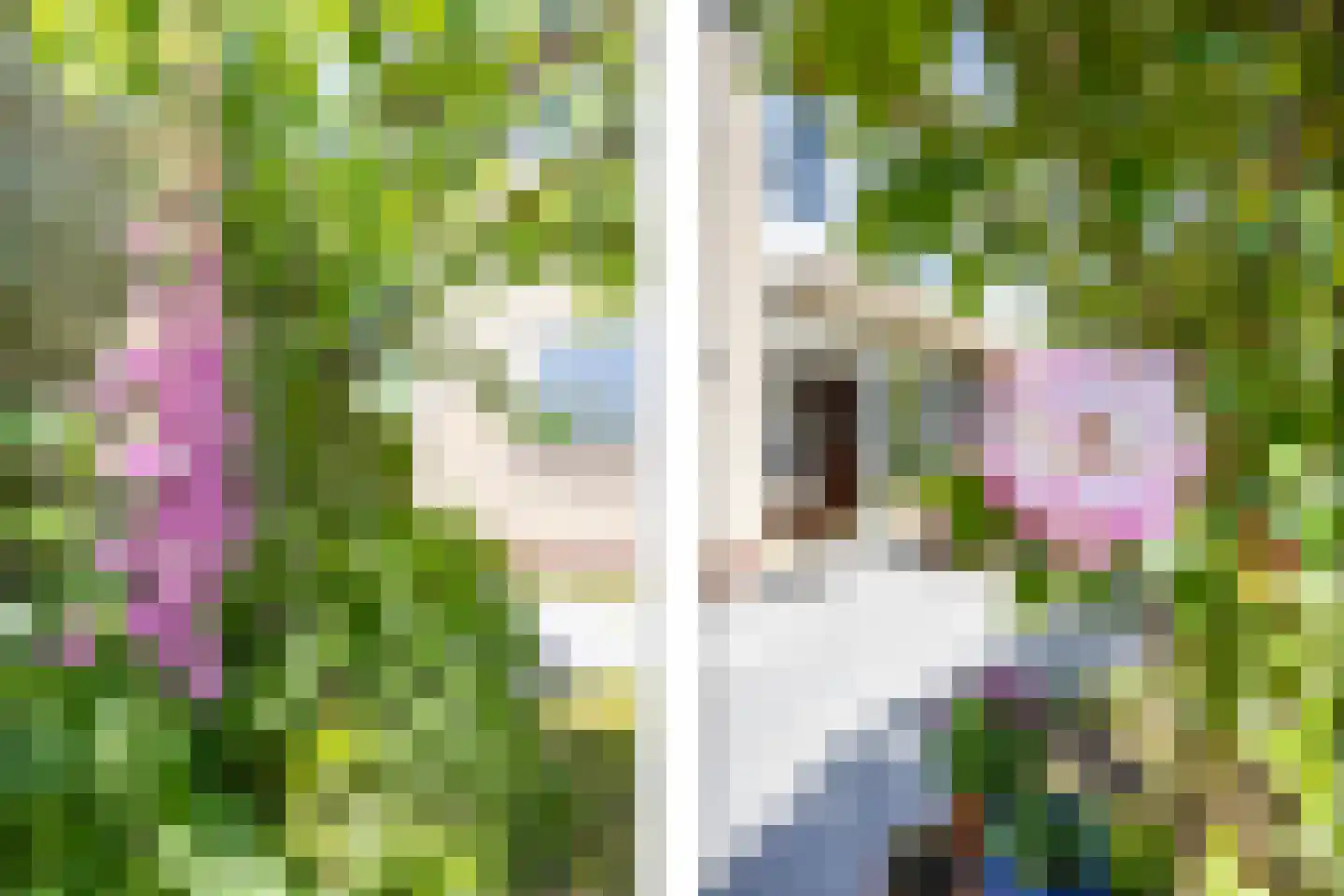 Albardastraat 4 Maarssen thumbnail 21