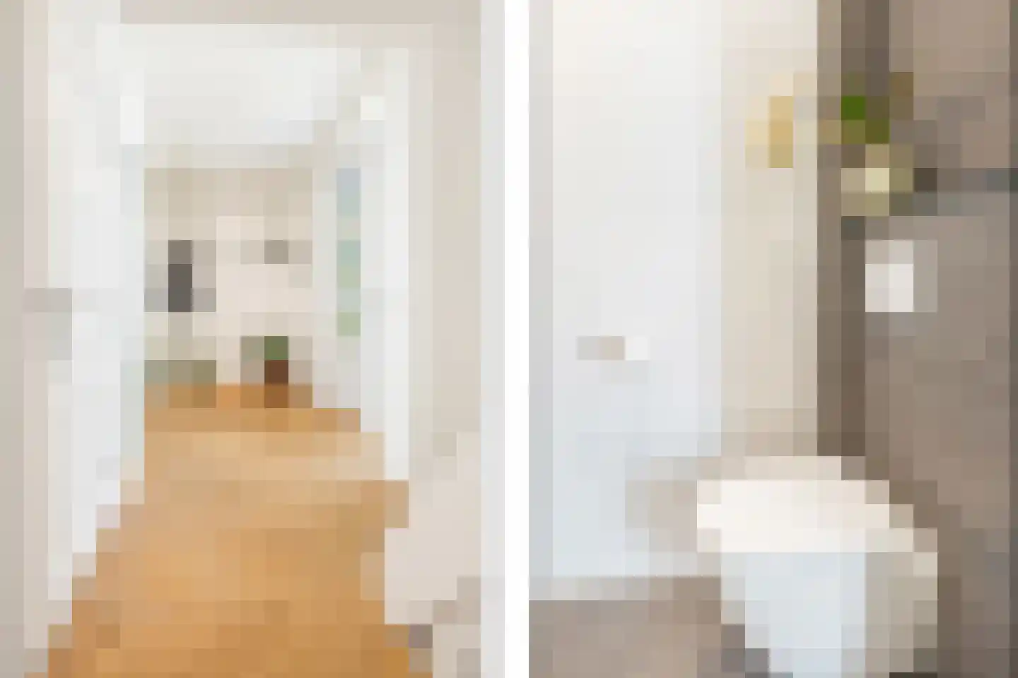 Albardastraat 4 Maarssen thumbnail 22