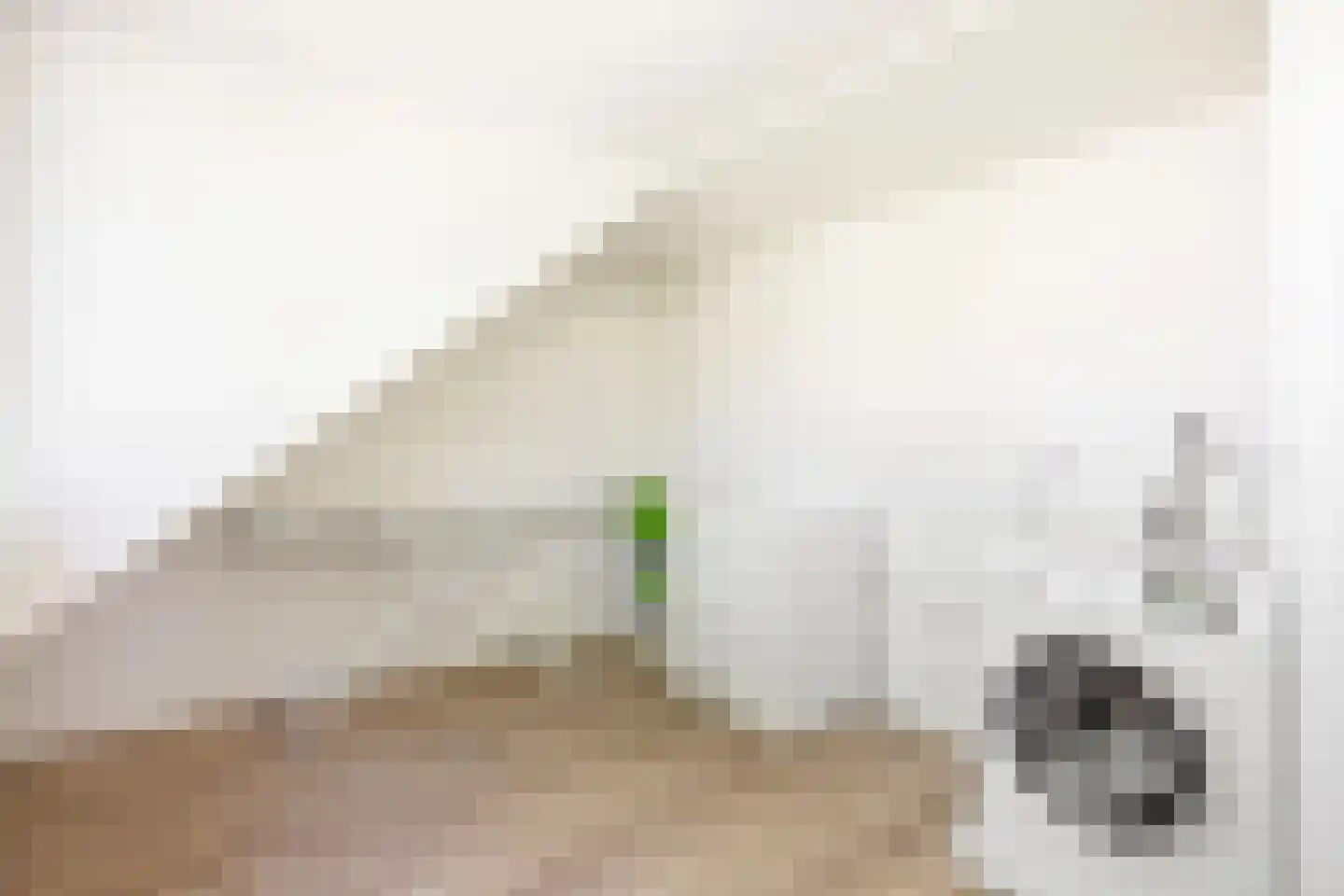 Albardastraat 4 Maarssen thumbnail 36