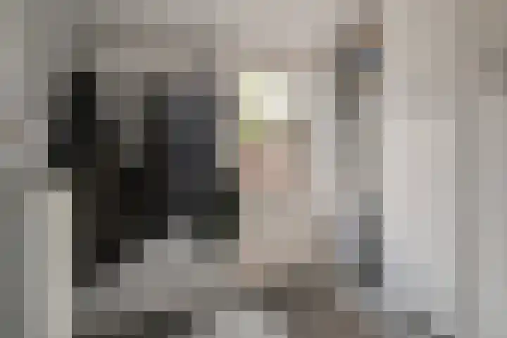 Albardastraat 40 Goes thumbnail 21