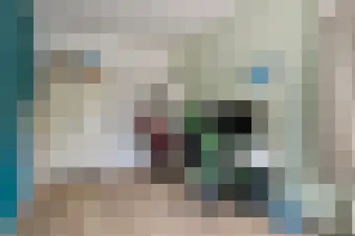 Albardastraat 40 Goes thumbnail 23