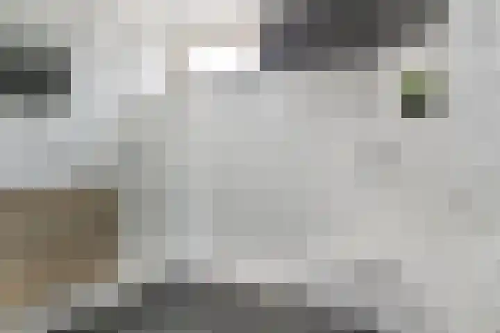 Albardastraat 40 Goes thumbnail 32