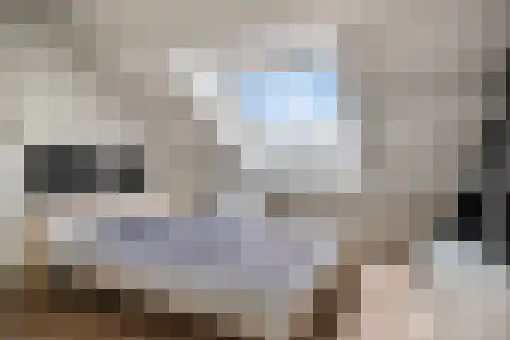 Albardastraat 40 Goes thumbnail 35