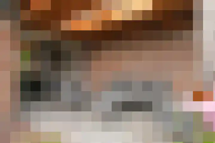 Albardastraat 40 Goes thumbnail 37