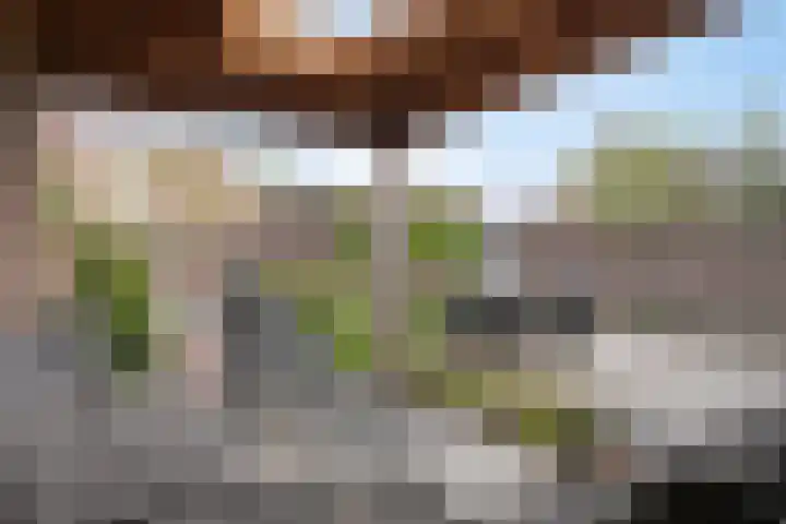 Albardastraat 40 Goes thumbnail 38