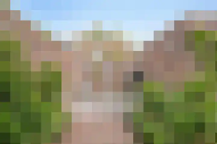 Albardastraat 40 Goes thumbnail 41